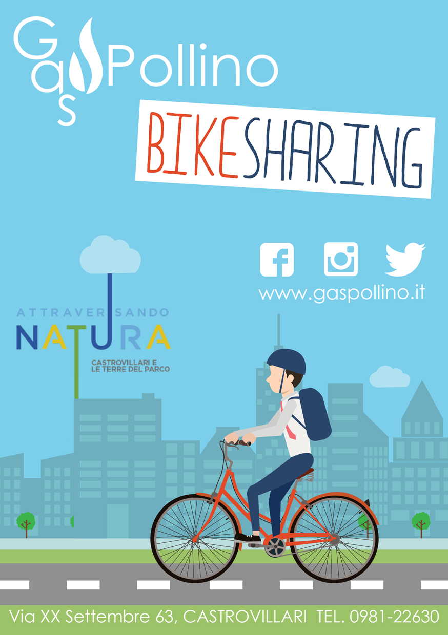 bike_sharing